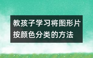 教孩子学习将图形片按颜色分类的方法