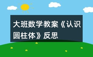 大班数学教案《认识圆柱体》反思